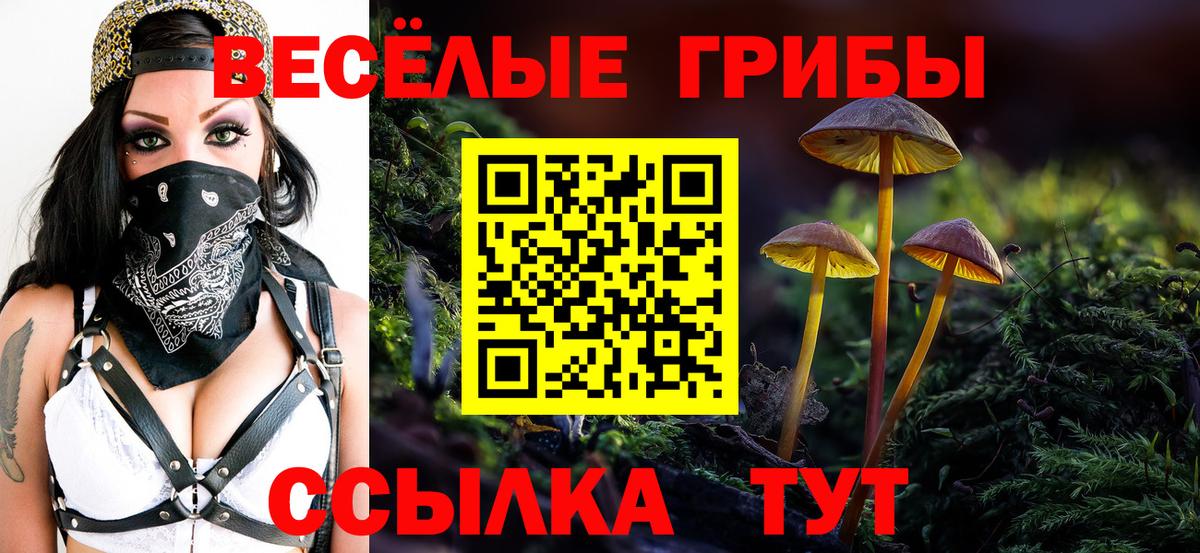 Псилоцибиновые грибы Psilocybe  Вход с VPN  Галлюциногенные грибы Psilocybe  как найти закладки  Кулебаки 