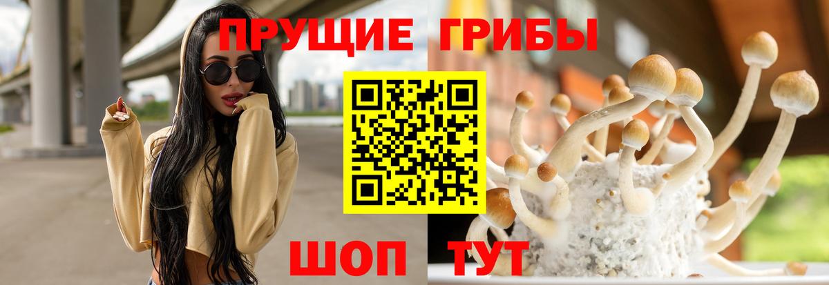 Галлюциногенные грибы прущие грибы Кулебаки